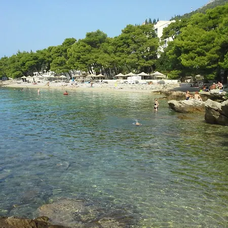 Apartman Sanja M 1 *